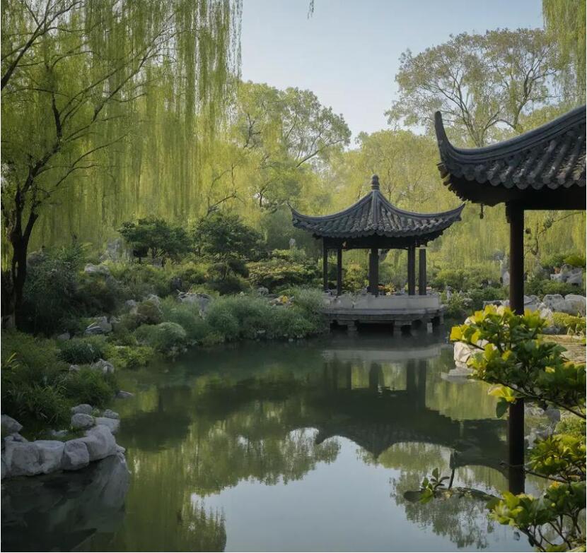 雨花区吵闹航空航天有限公司